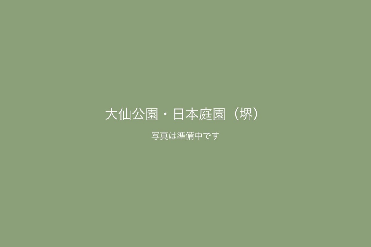 大仙公園・日本庭園（堺）での前撮り 1