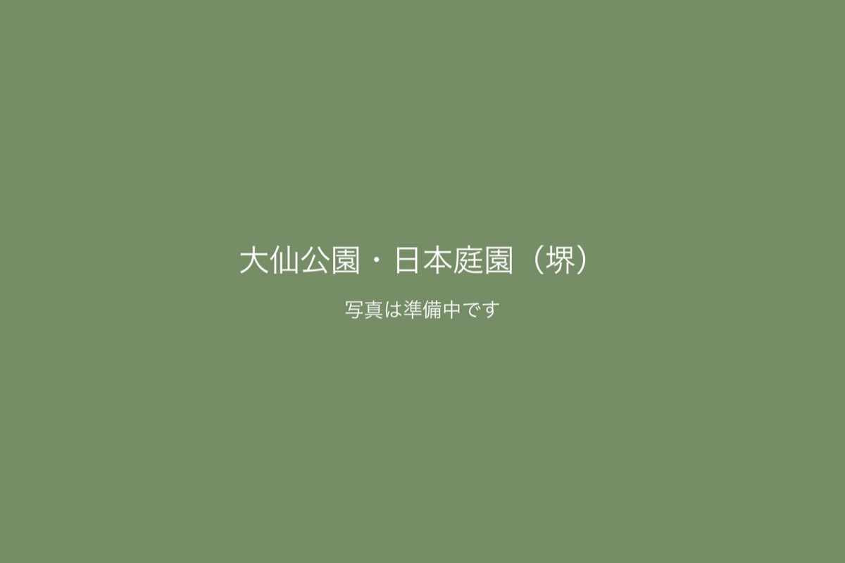 大仙公園・日本庭園（堺）での前撮り 2