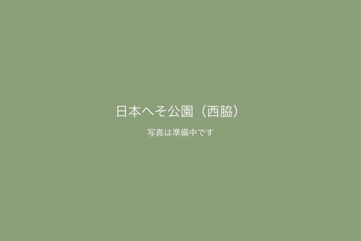 日本へそ公園（西脇）での前撮り 1