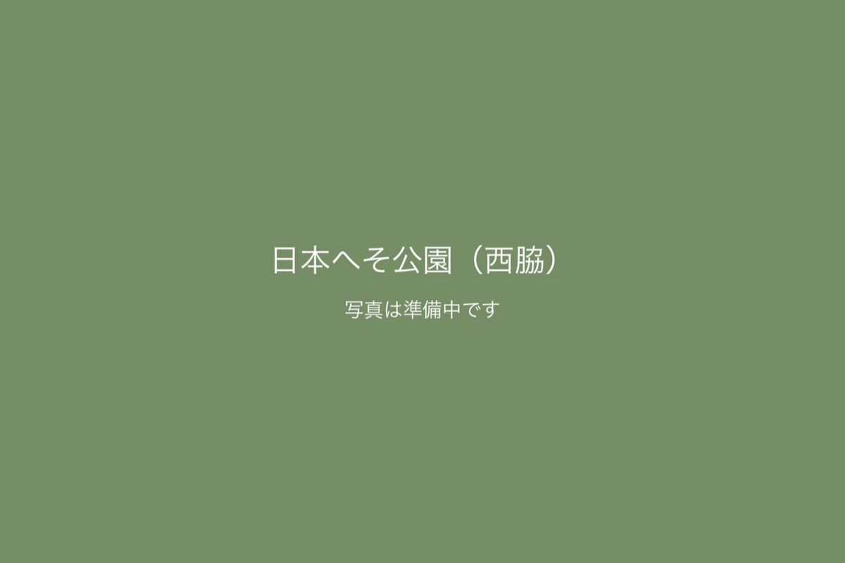 日本へそ公園（西脇）での前撮り 2
