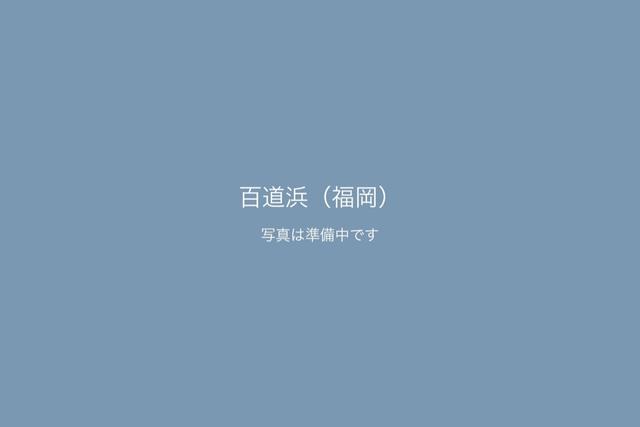 百道浜（福岡）