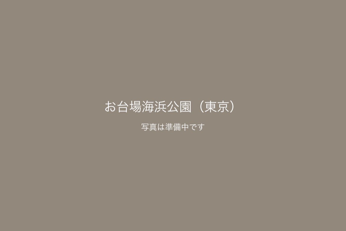 お台場海浜公園（東京）での前撮り 2