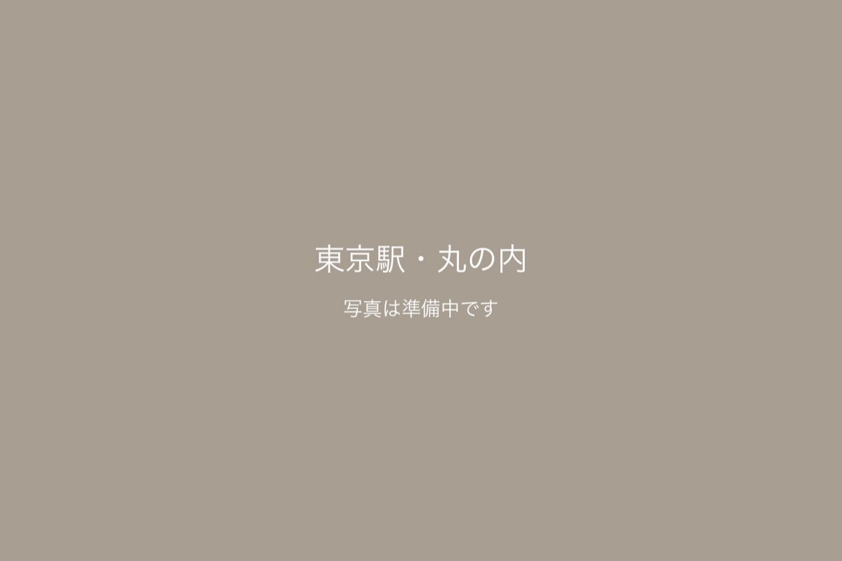 東京駅・丸の内での前撮り 1