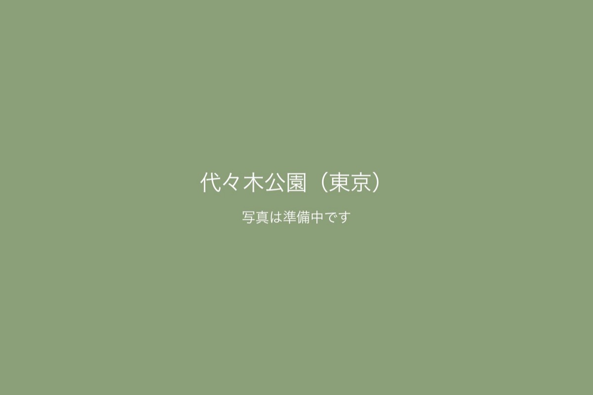 代々木公園（東京）での前撮り 1