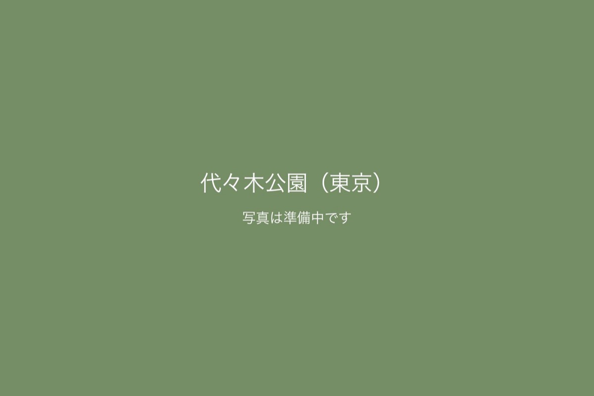 代々木公園（東京）での前撮り 2